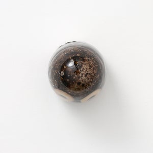 Birds Little Barn Owl ブラウン 0420