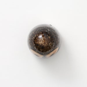 Birds Little Barn Owl ブラウン 0421