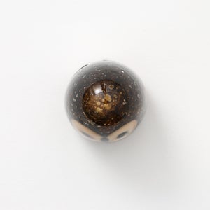 Birds Little Barn Owl ブラウン 0423