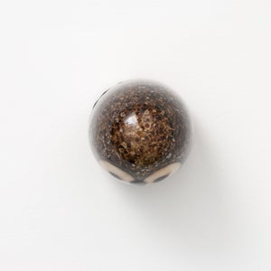 Birds Little Barn Owl ブラウン 0424