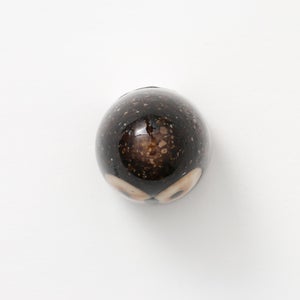 Birds Little Barn Owl ブラウン 0426