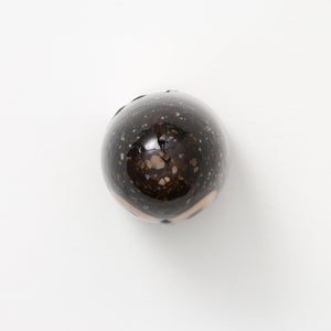 Birds Little Barn Owl ブラウン 0427