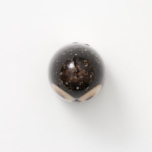 Birds Little Barn Owl ブラウン 0429