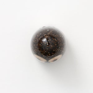 Birds Little Barn Owl ブラウン 0430