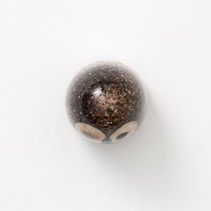 Birds Little Barn Owl ブラウン 0433