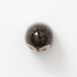 Birds Little Barn Owl ブラウン 0434