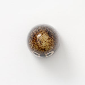 Birds Little Barn Owl ブラウン 0435