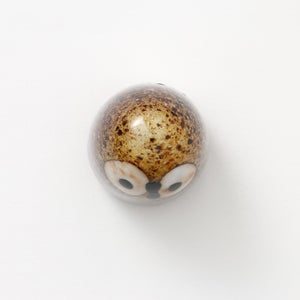 Birds Little Barn Owl ブラウン 0438