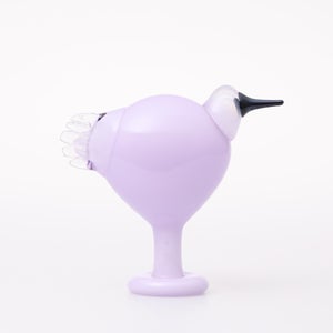 Birds Leppainen ライトライラック 0026