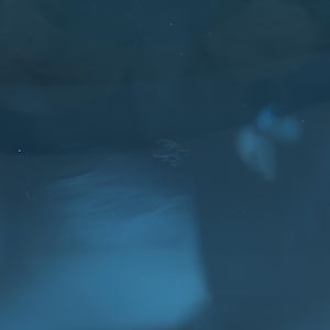 Leppainen スカイブルー 0010