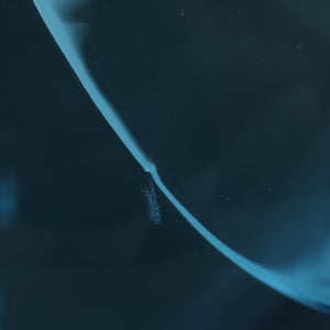 Leppainen スカイブルー 0239