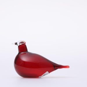 Birds Little Tern クランベリー 1373