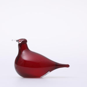 Birds Little Tern クランベリー 1379