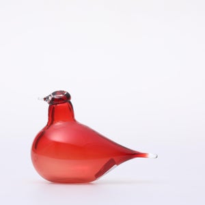 Birds Little Tern クランベリー 1400