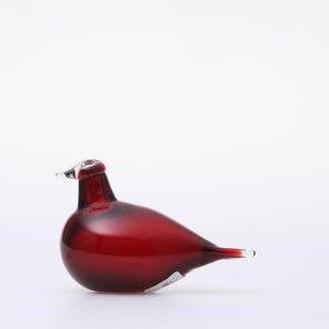 Birds Little Tern クランベリー 1410