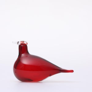 Birds Little Tern クランベリー 1437