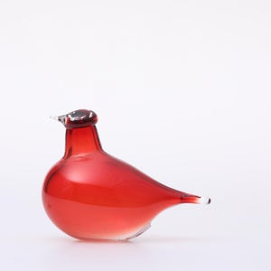 Birds Little Tern クランベリー 1499