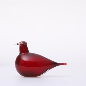 Birds Little Tern クランベリー 1505