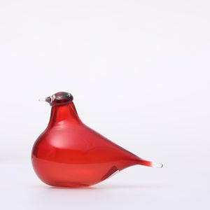 Birds Little Tern クランベリー 1510