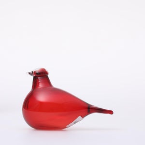 Birds Little Tern クランベリー 1541