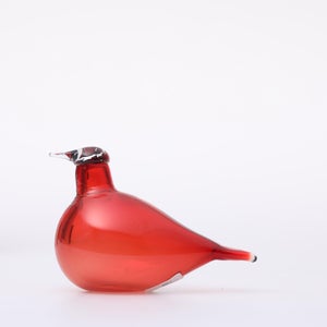 Birds Little Tern クランベリー 1542