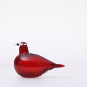 Birds Little Tern クランベリー 1544