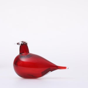 Birds Little Tern クランベリー 1549