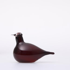 Birds Little Tern クランベリー 1605