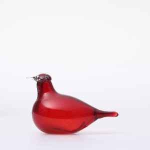 Birds Little Tern クランベリー 1640