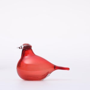 Birds Little Tern クランベリー 1643