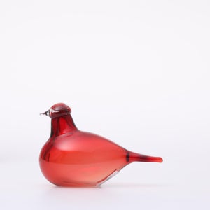 Birds Little Tern クランベリー 1649