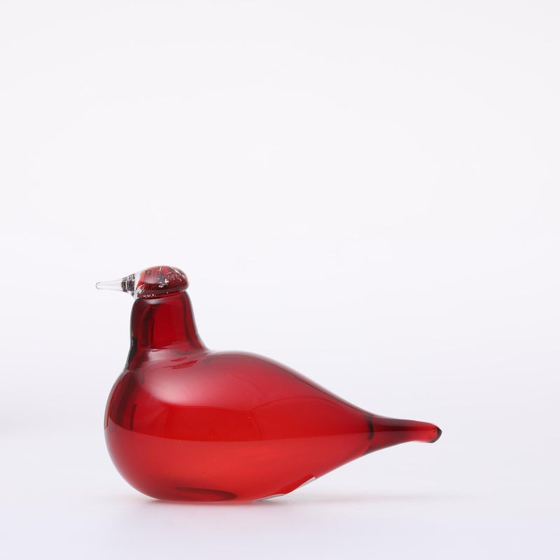 ✧新品✧イッタラバード オイバトイッカリトルターンクランベリー