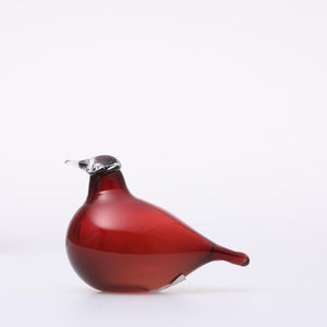 Birds Little Tern クランベリー 1718