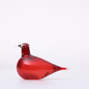 Birds Little Tern クランベリー 1720