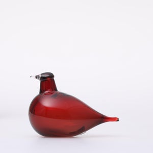 Birds Little Tern クランベリー 1721