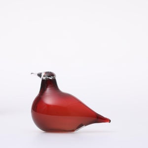 Birds Little Tern クランベリー 1722