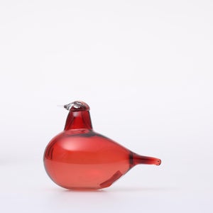 Birds Little Tern クランベリー 1723