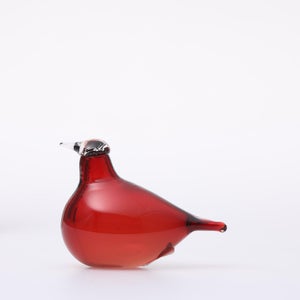 Birds Little Tern クランベリー 1724