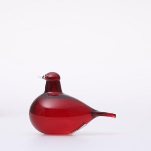 Birds Little Tern クランベリー 1725