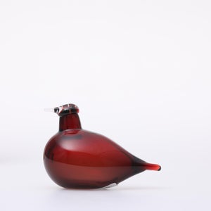 Birds Little Tern クランベリー 1731