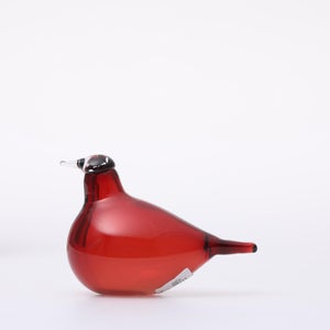 Birds Little Tern クランベリー 1732