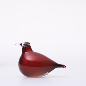 Birds Little Tern クランベリー 1736