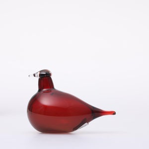 Birds Little Tern クランベリー 1739