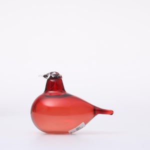 Birds Little Tern クランベリー 1741