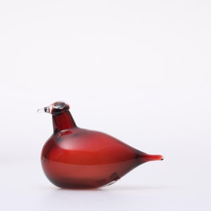 Birds Little Tern クランベリー 1742