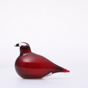 Birds Little Tern クランベリー 1743