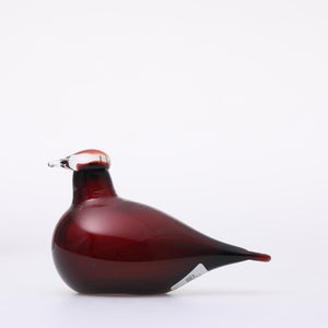 Birds Little Tern クランベリー 1744