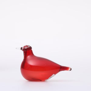 Birds Little Tern クランベリー 1745