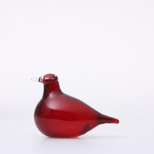 Birds Little Tern クランベリー 1747