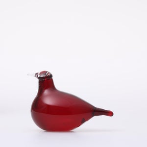 Birds Little Tern クランベリー 1749